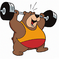 Fat bear lifting weights